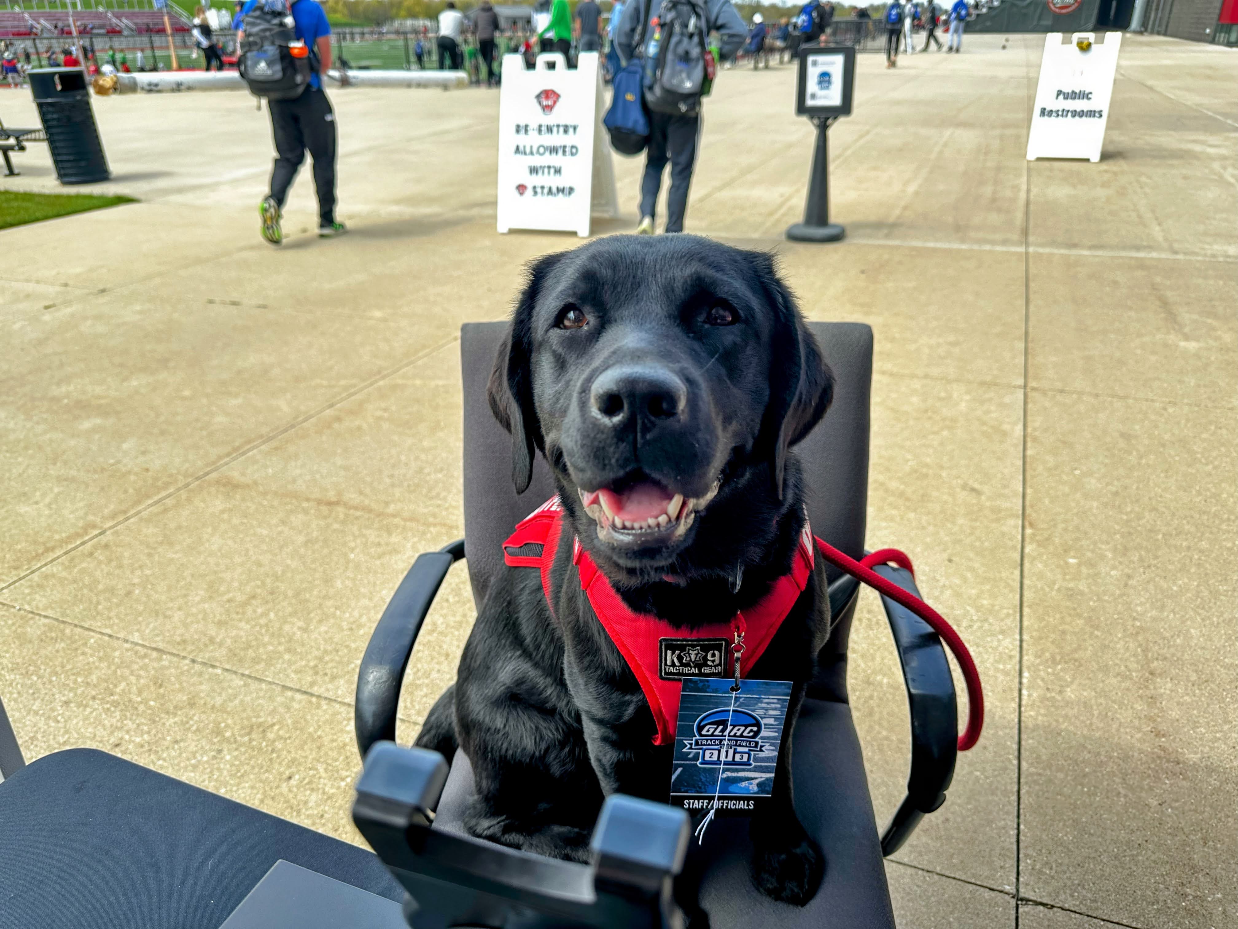 Onyx at GLIAC Track and Field Event